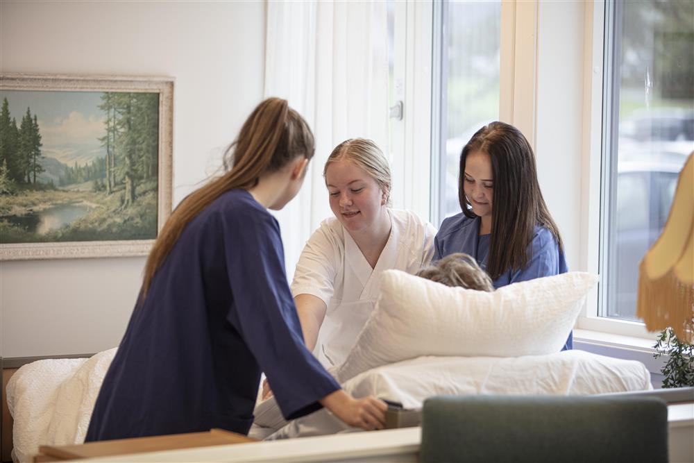 Elevar i pleie - Klikk for stort bilete
